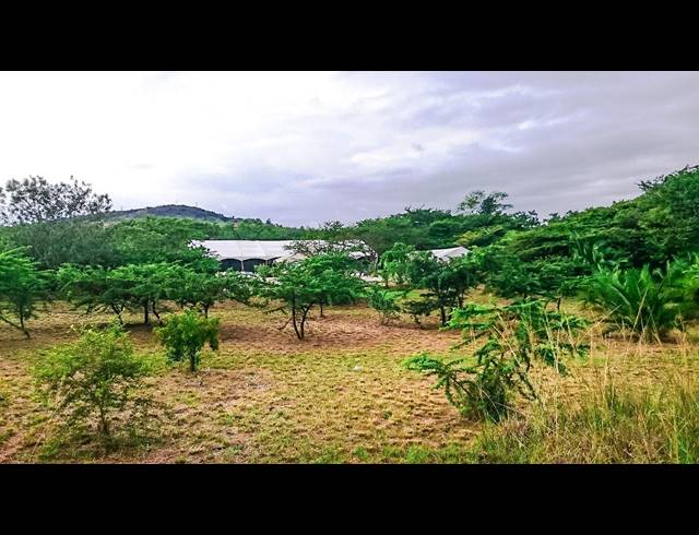 100M² FARM FOR SALE IN ESHOWE RURAL